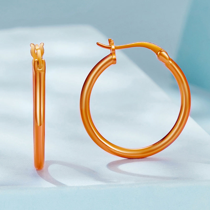 Sterling Silver Classic Coloured Circle Hoop Hypoallergenic Earrings