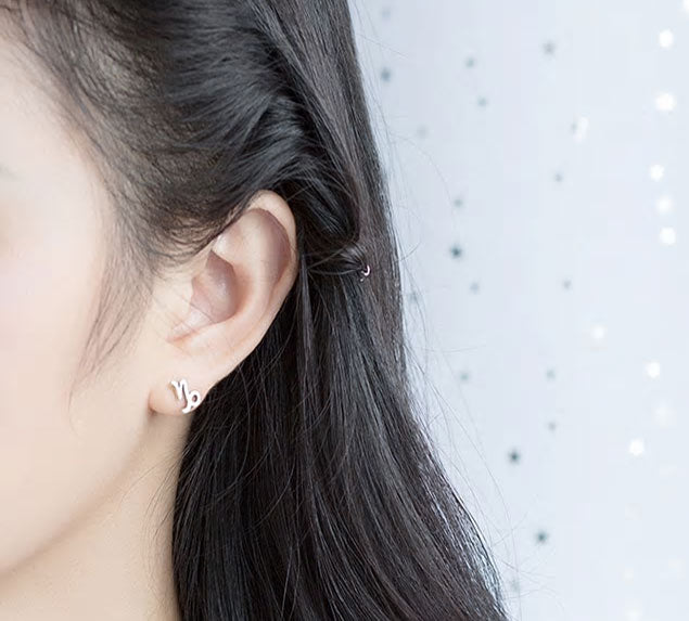 Sterling Silver 12 Signs Of The Zodiac Hypoallergenic Stud Earrings