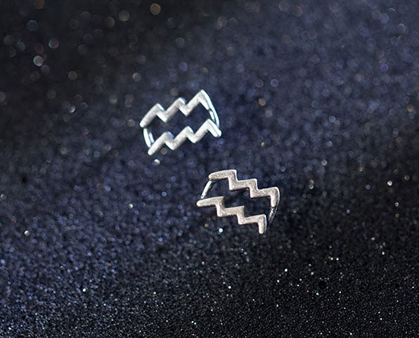 Sterling Silver 12 Signs Of The Zodiac Hypoallergenic Stud Earrings