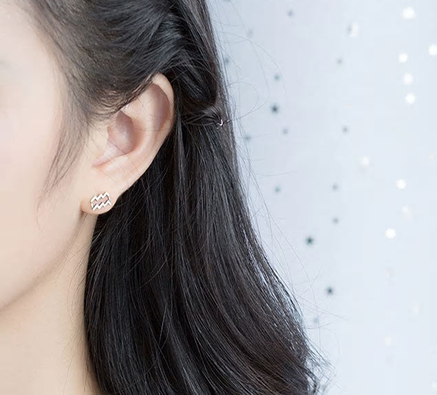 Sterling Silver 12 Signs Of The Zodiac Hypoallergenic Stud Earrings