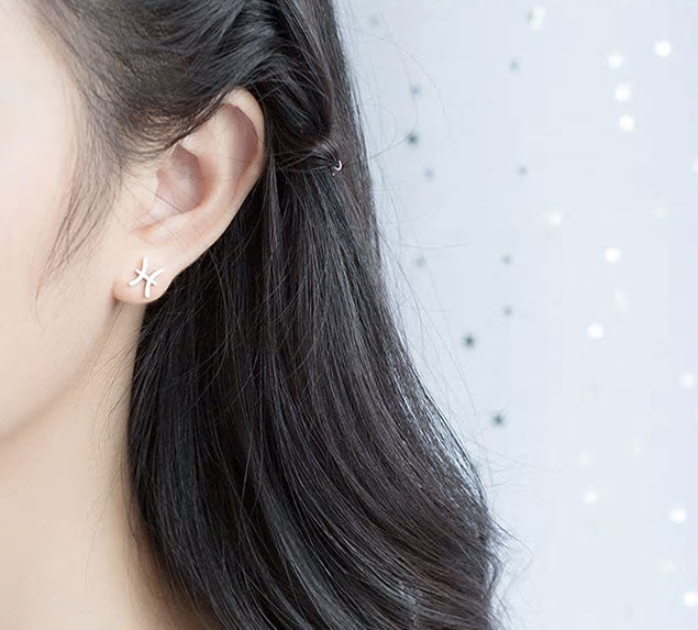 Sterling Silver 12 Signs Of The Zodiac Hypoallergenic Stud Earrings