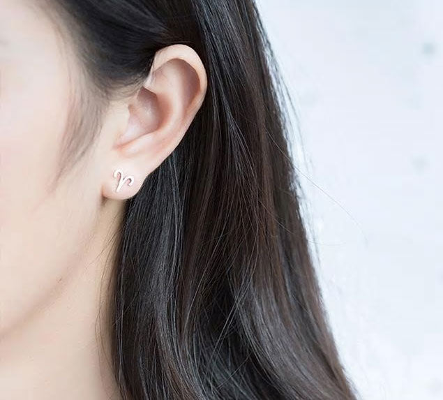 Sterling Silver 12 Signs Of The Zodiac Hypoallergenic Stud Earrings