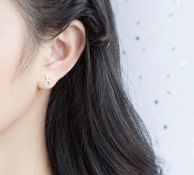 Sterling Silver 12 Signs Of The Zodiac Hypoallergenic Stud Earrings