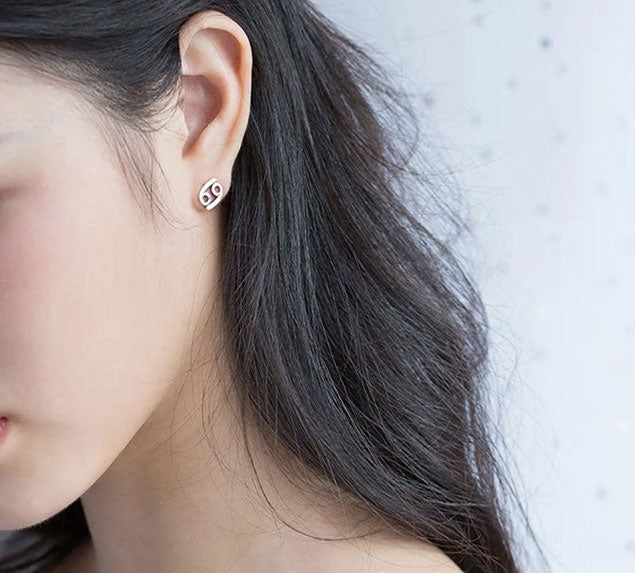 Sterling Silver 12 Signs Of The Zodiac Hypoallergenic Stud Earrings
