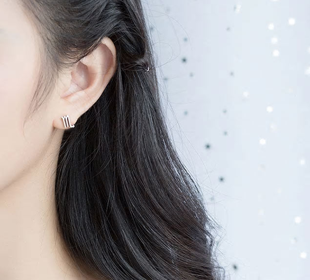 Sterling Silver 12 Signs Of The Zodiac Hypoallergenic Stud Earrings