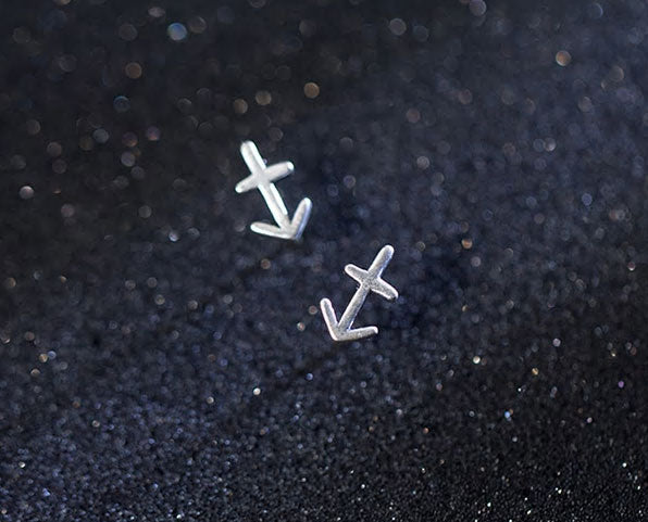 Sterling Silver 12 Signs Of The Zodiac Hypoallergenic Stud Earrings
