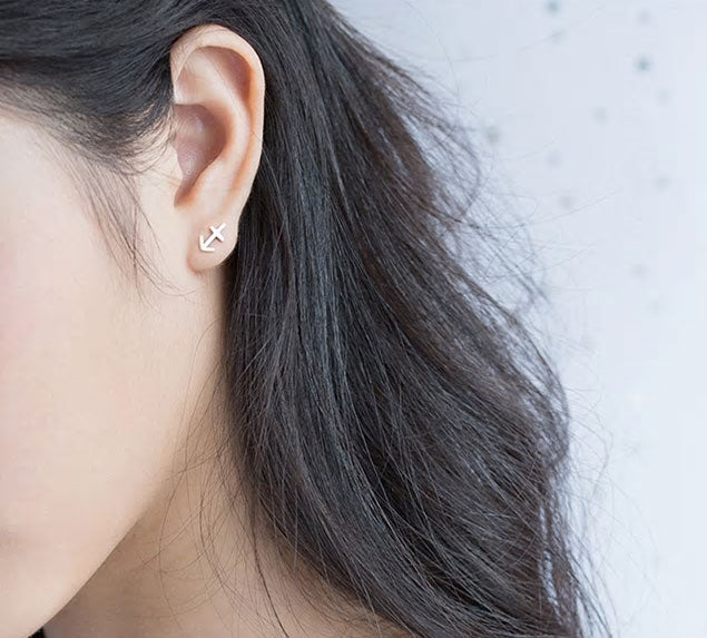 Sterling Silver 12 Signs Of The Zodiac Hypoallergenic Stud Earrings