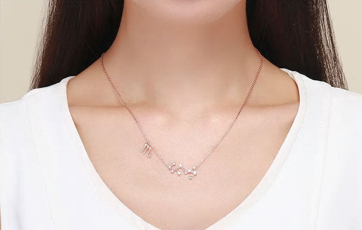 Sterling Silver 12 Signs Of The Zodiac Hypoallergenic Necklace