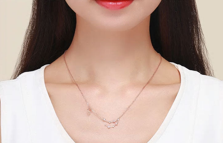 Sterling Silver 12 Signs Of The Zodiac Hypoallergenic Necklace