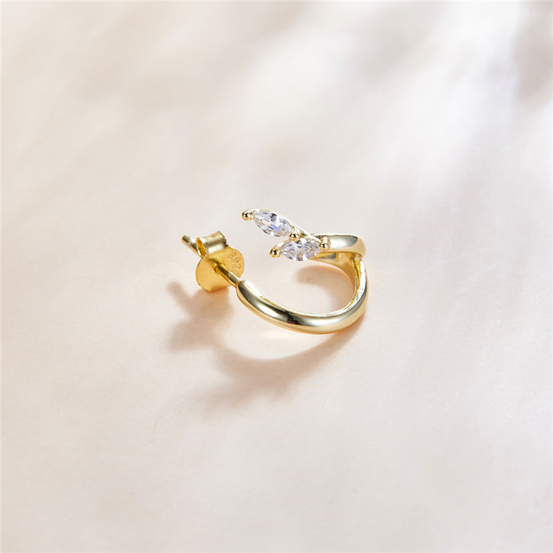Sterling Silver Treasure Of Nature Stud Hypoallergenic Earrings