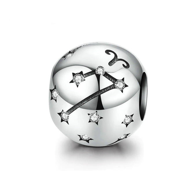 Sterling Silver 12 Signs Of The Zodiac Hypoallergenic Bead Charm