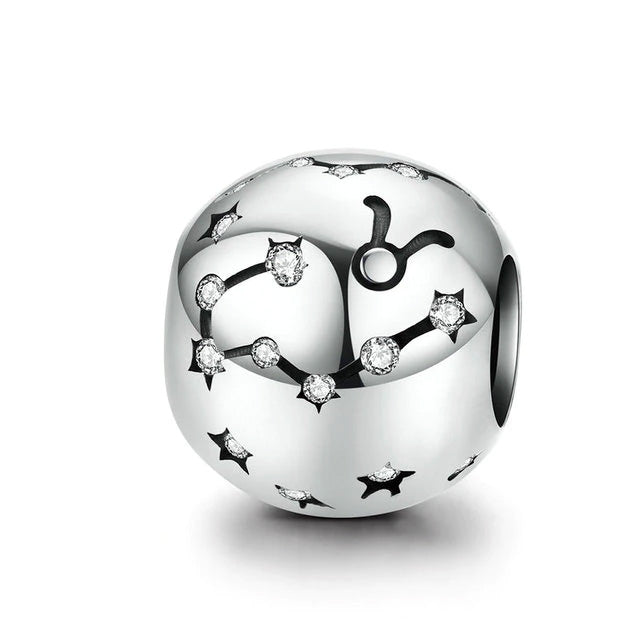Sterling Silver 12 Signs Of The Zodiac Hypoallergenic Bead Charm