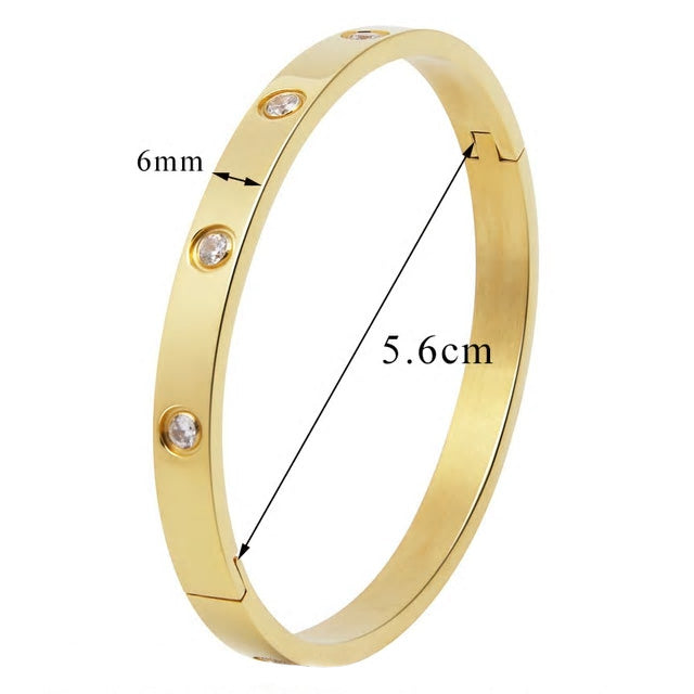 Stainless Steel Cubic Zirconia Bangle