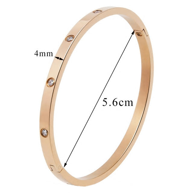 Stainless Steel Cubic Zirconia Bangle