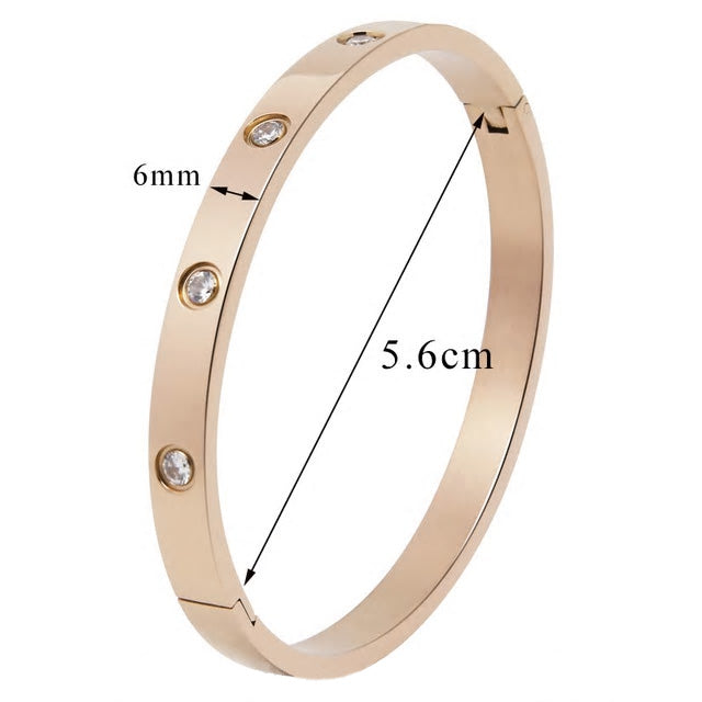 Stainless Steel Cubic Zirconia Bangle