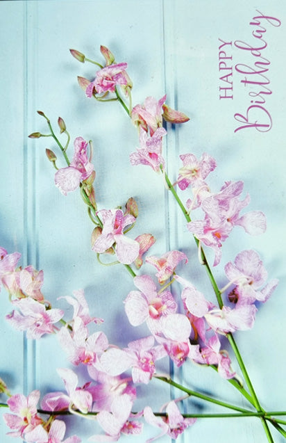 Greeting Cards