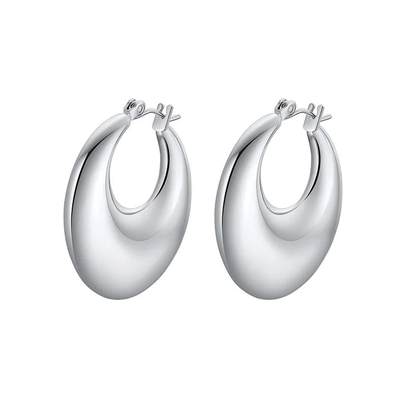 Stainless Steel Loop Hoop Earrings