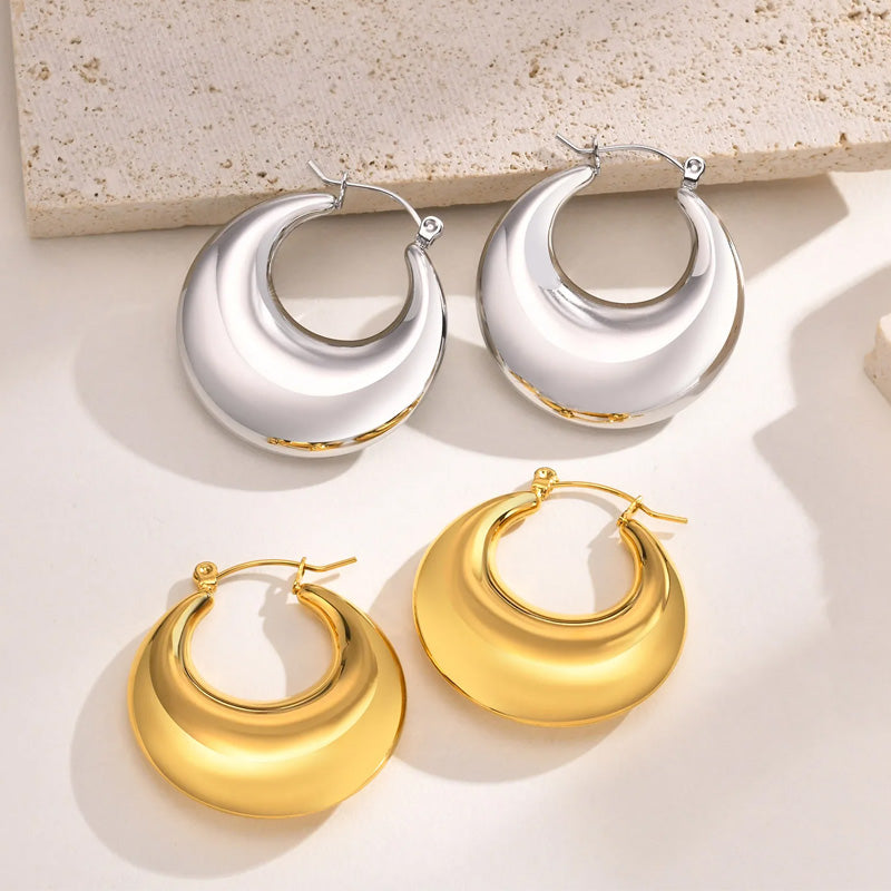 Stainless Steel Loop Hoop Earrings