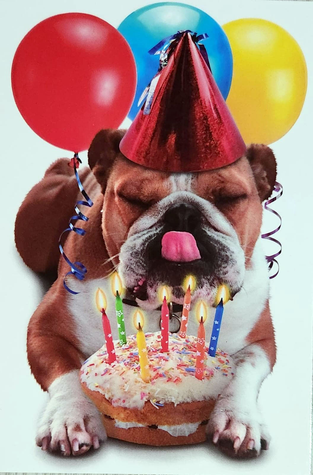 Greeting Cards