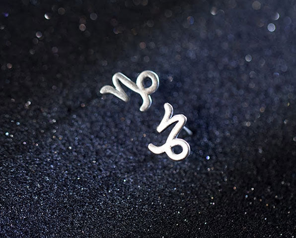 Sterling Silver 12 Signs Of The Zodiac Hypoallergenic Stud Earrings
