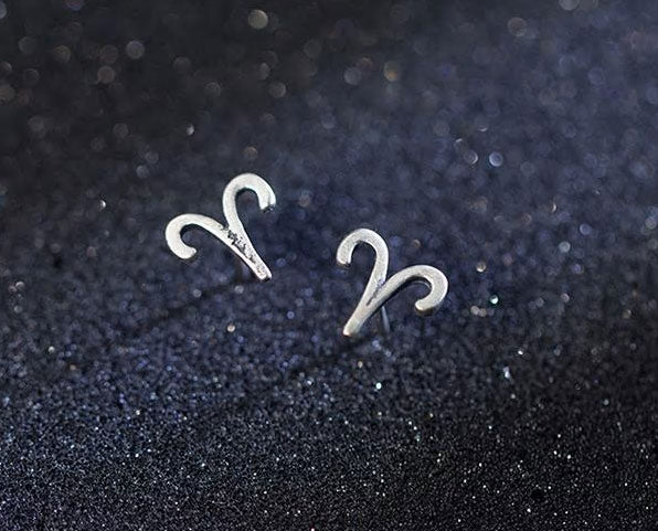 Sterling Silver 12 Signs Of The Zodiac Hypoallergenic Stud Earrings