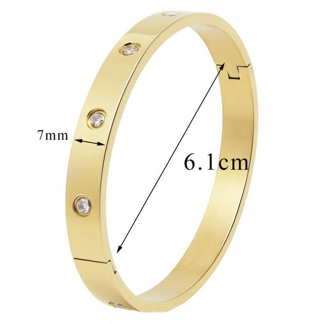 Stainless Steel Cubic Zirconia Bangle